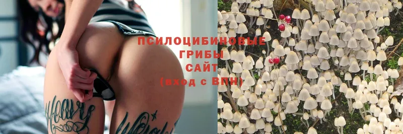 Псилоцибиновые грибы MAGIC MUSHROOMS  дарнет шоп  Осташков 